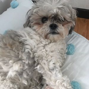 Meet your Posher, Sofia